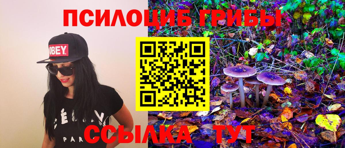 Пушкино  Псилоцибиновые грибы Cubensis  Галлюциногенные грибы ЛСД  Вход с VPN 